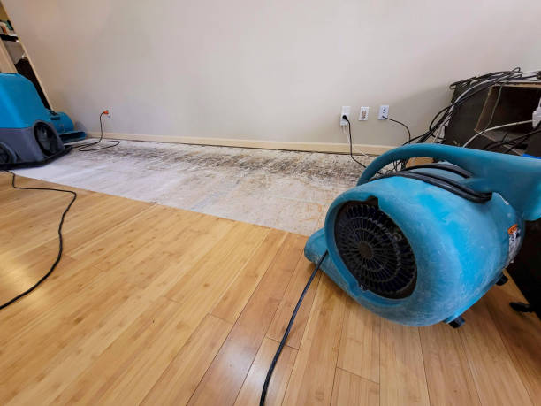 Professional Basement Flood Cleanup technician working in Morro Bay, CA
